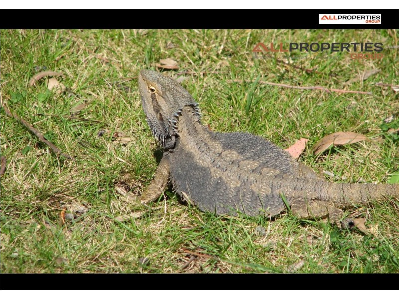 Laidley Heights QLD 4341