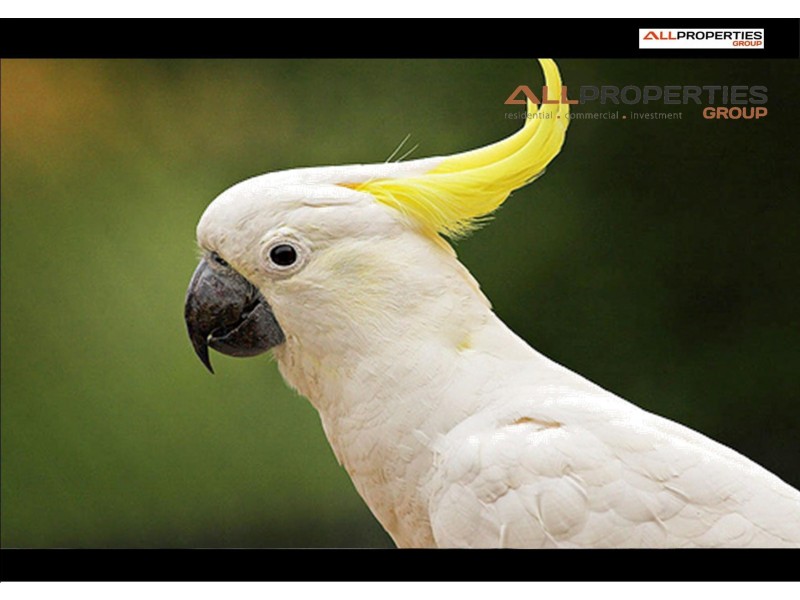 Laidley Heights QLD 4341