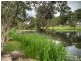 5 Gragin Pl, Parkinson QLD 4115