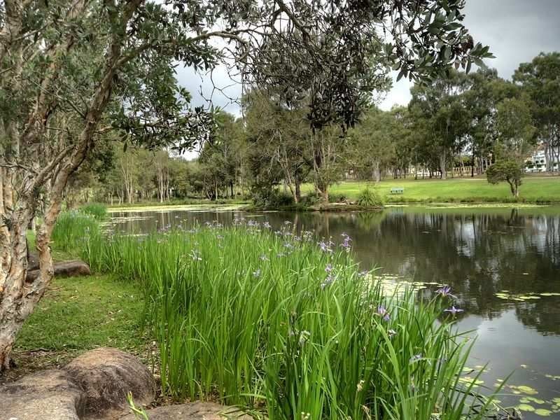 5 Gragin Pl, Parkinson QLD 4115