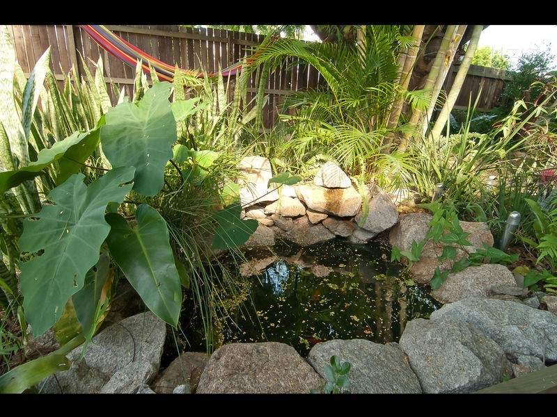 5 Sanderling Street, Inala QLD 4077