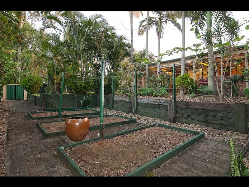 10 COYLE CT, Browns Plains QLD 4118