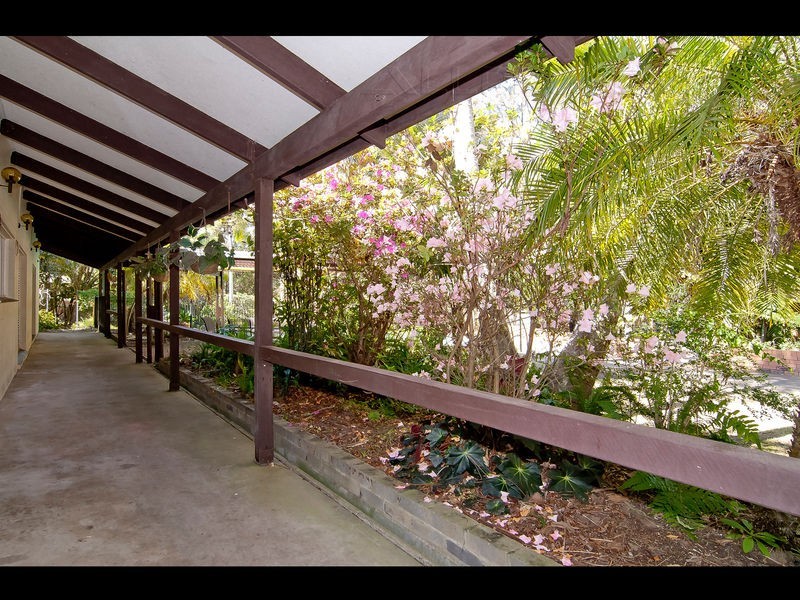 11 Pimpala Street, Loganlea QLD 4131