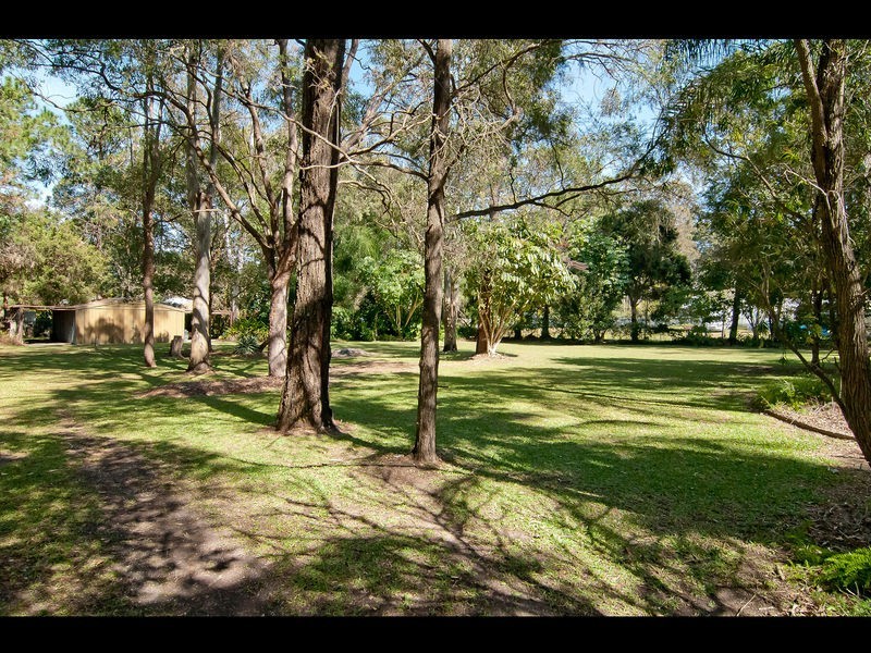 11 Pimpala Street, Loganlea QLD 4131