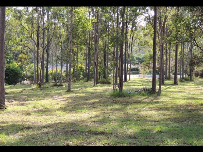 8 Potaroo Court, Greenbank QLD 4124