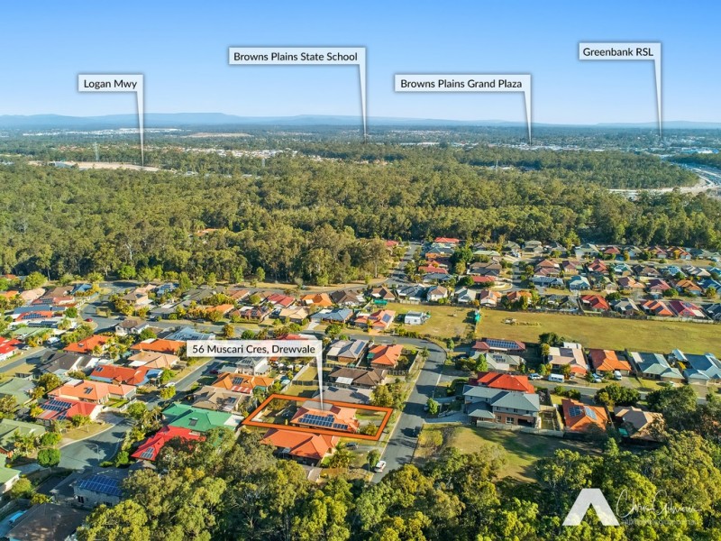 56 Muscari Cres, Drewvale QLD 4116