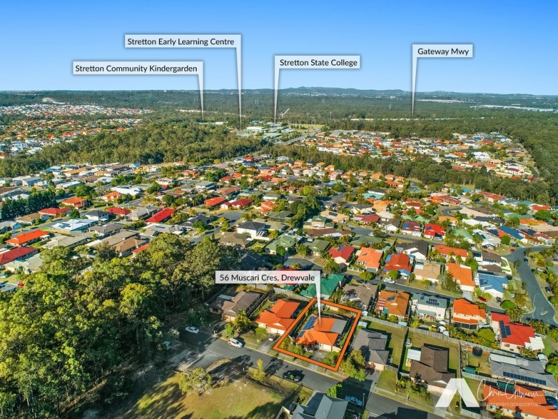 56 Muscari Cres, Drewvale QLD 4116