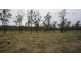 Lot 13 Hanlon Court, Laidley Heights QLD 4341