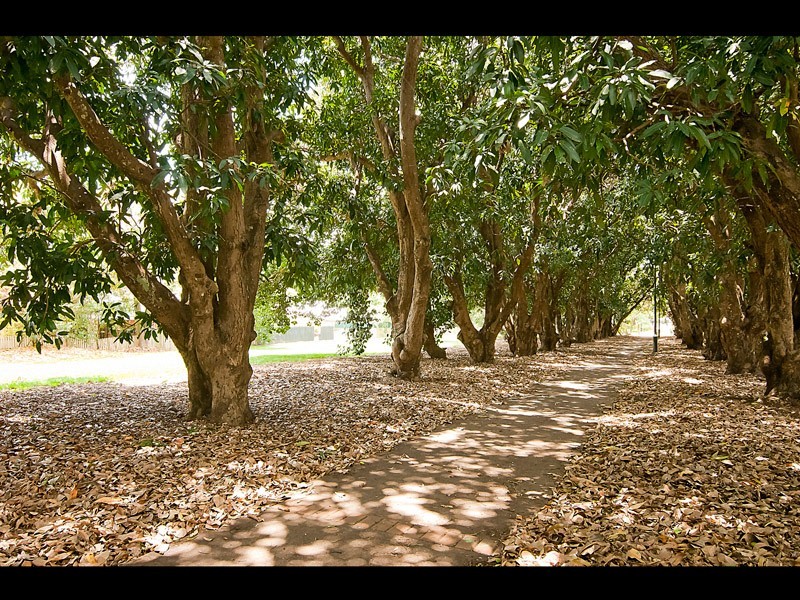 47 Atherton Cct, Forest Lake QLD 4078