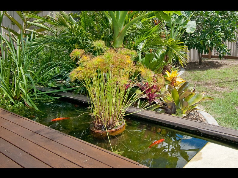 1 Owens Street, Boronia Heights QLD 4124