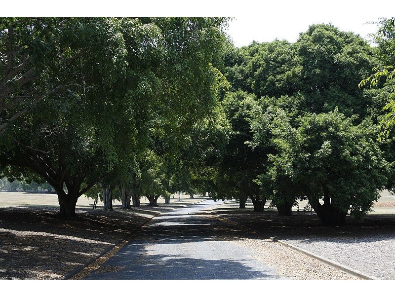 3/11 Crichton Street, Yeerongpilly QLD 4105