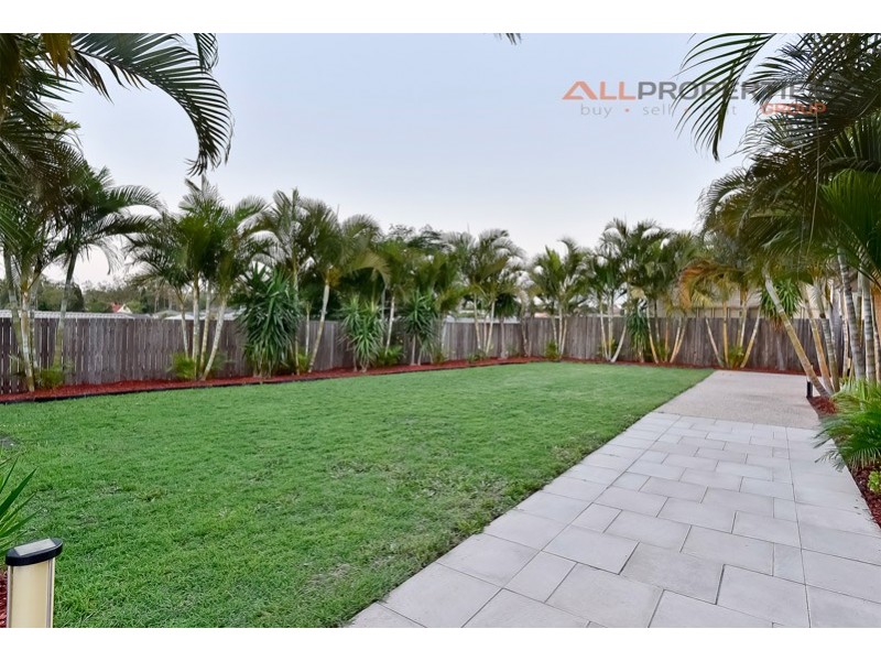 8 Honeywood Ct, Springfield QLD 4300