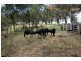 Mundoolun QLD 4285
