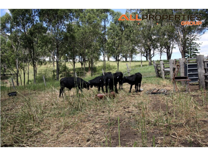 Mundoolun QLD 4285