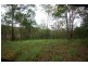 211 Harrison Road, Cedar Vale QLD 4285