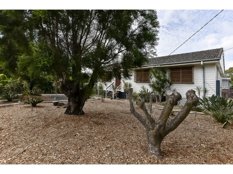 18 Wedgetail St, Inala QLD 4077