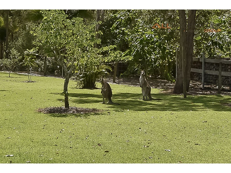 45 Palmerston Court, Munruben QLD 4125