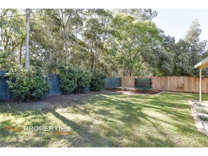 53 RADIATA STREET, Hillcrest QLD 4118