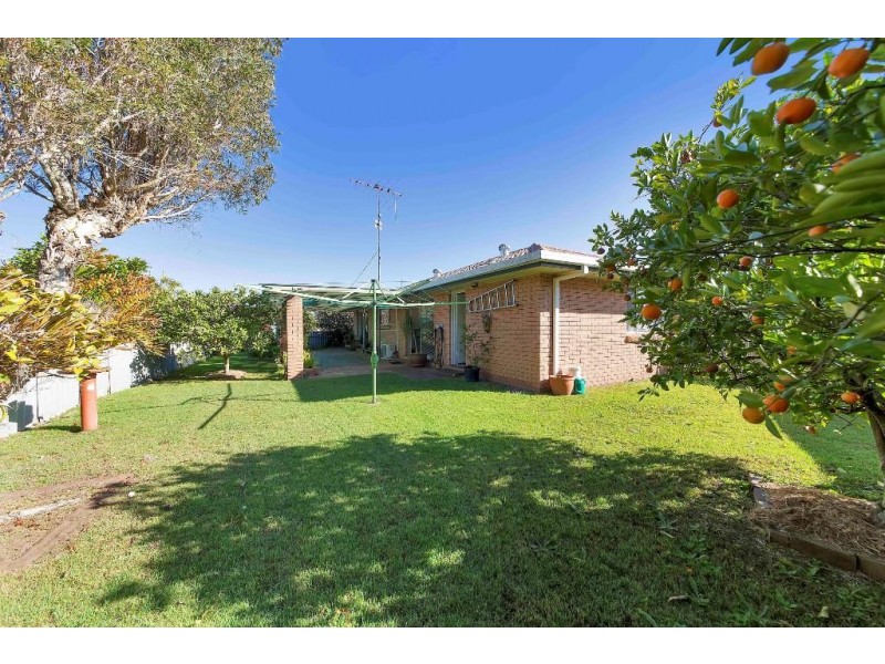 6 Malkana Crescent, Buddina QLD 4575