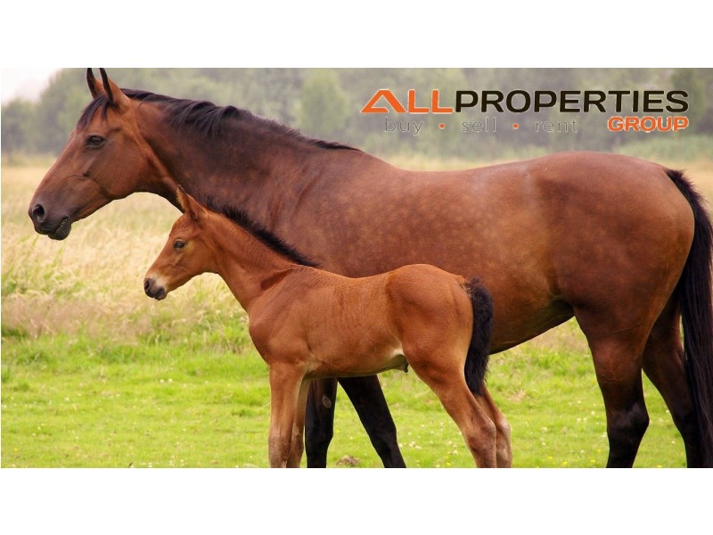 South Maclean QLD 4280