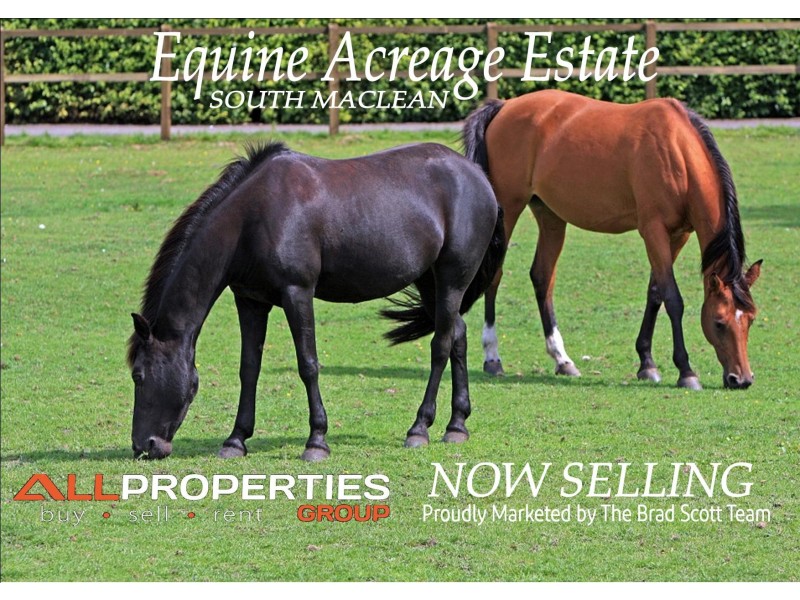 Lot 16 Colt Court (New Road), South Maclean QLD 4280