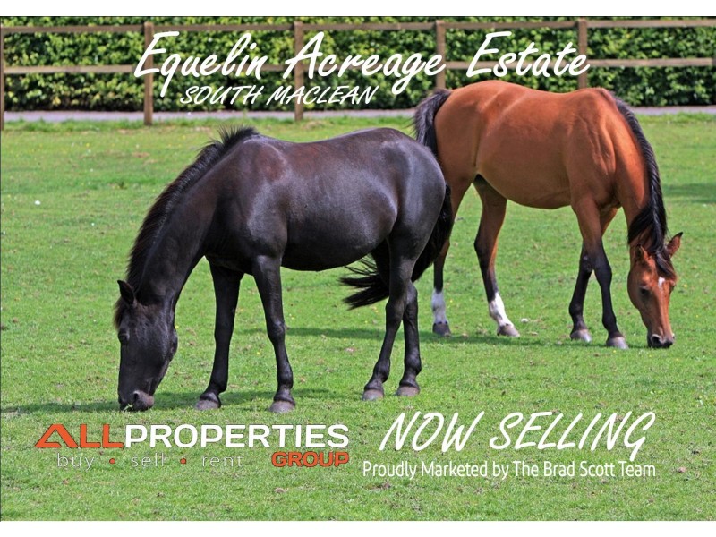 Lot 19 Colt Court (New Road), South Maclean QLD 4280