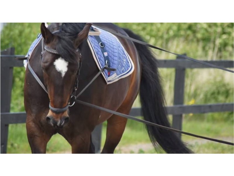 South Maclean QLD 4280