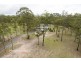 42 Janelle Ct, Munruben QLD 4125