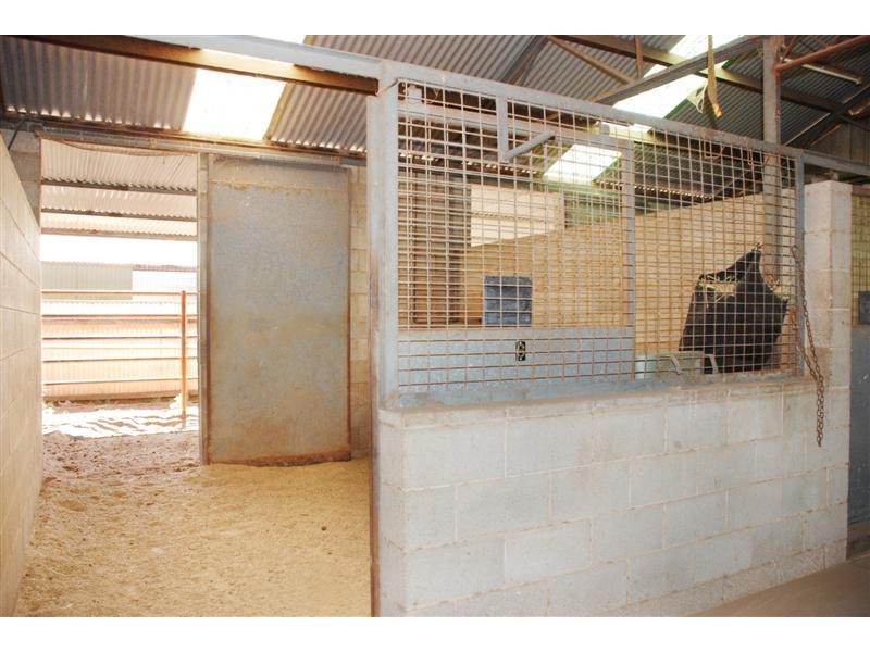 25 Alabar Crescent, Globe Derby Park SA 5110