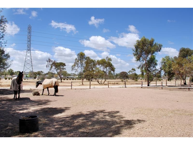 25 Alabar Crescent, Globe Derby Park SA 5110