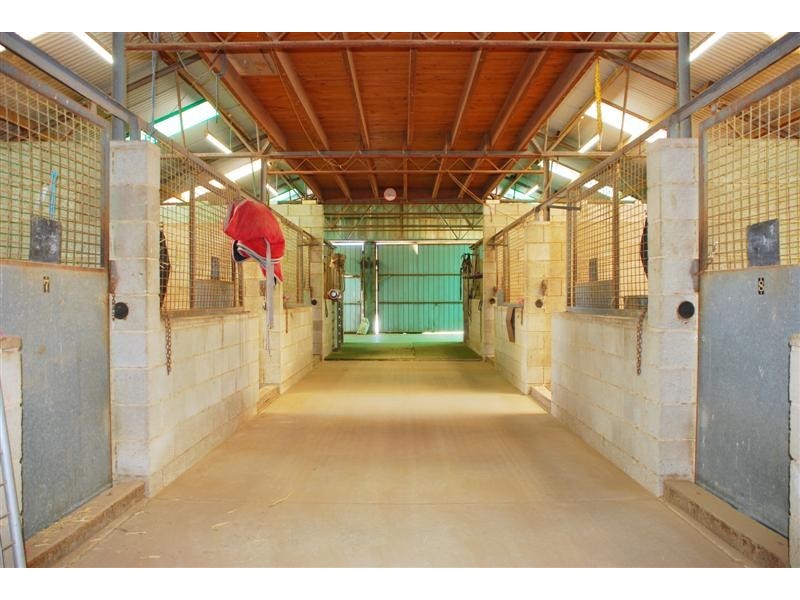 25 Alabar Crescent, Globe Derby Park SA 5110