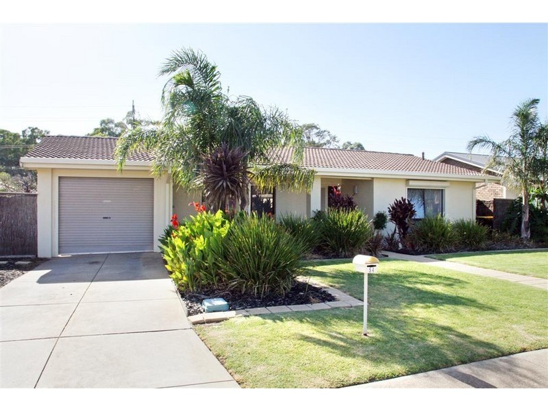 54 Spruce Avenue, Warradale SA 5046