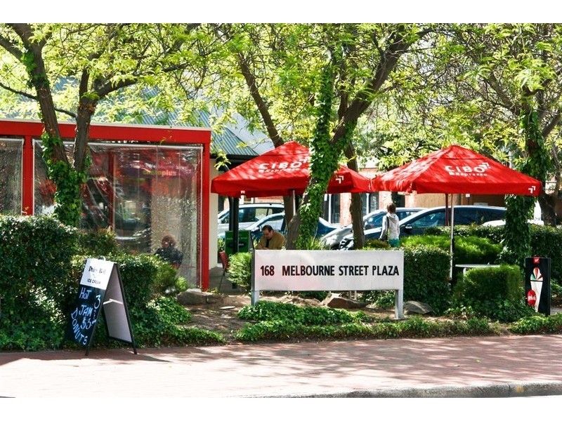 8/88 Sussex Street, North Adelaide SA 5006