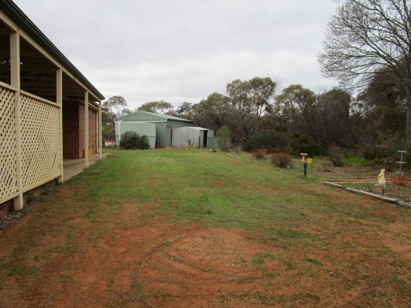 314 Bassham Rd, Loveday SA 5345