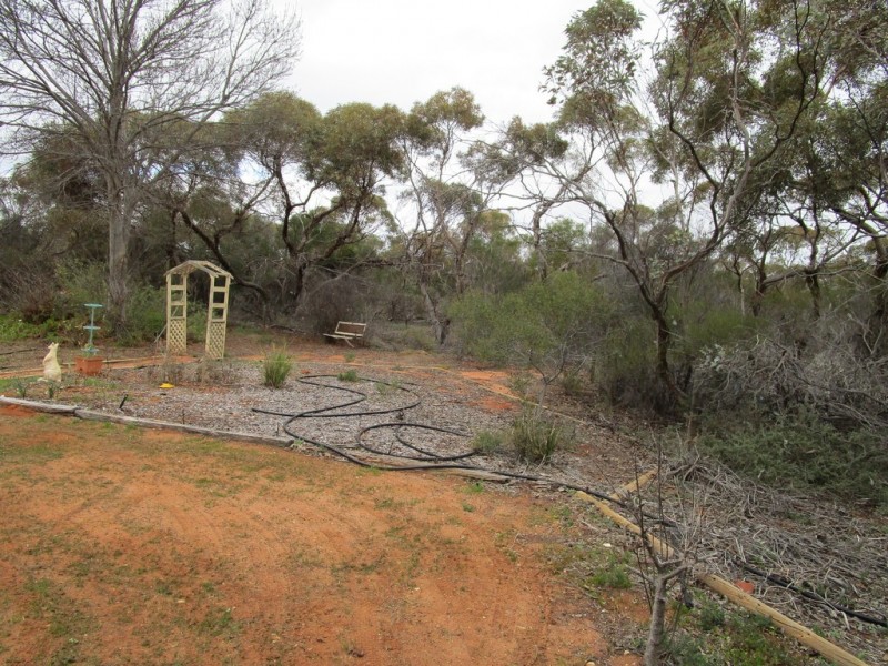 314 Bassham Rd, Loveday SA 5345