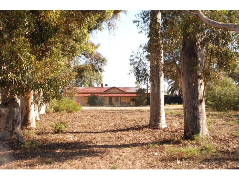 42 Rumball Rd Winkie via, Berri SA 5343