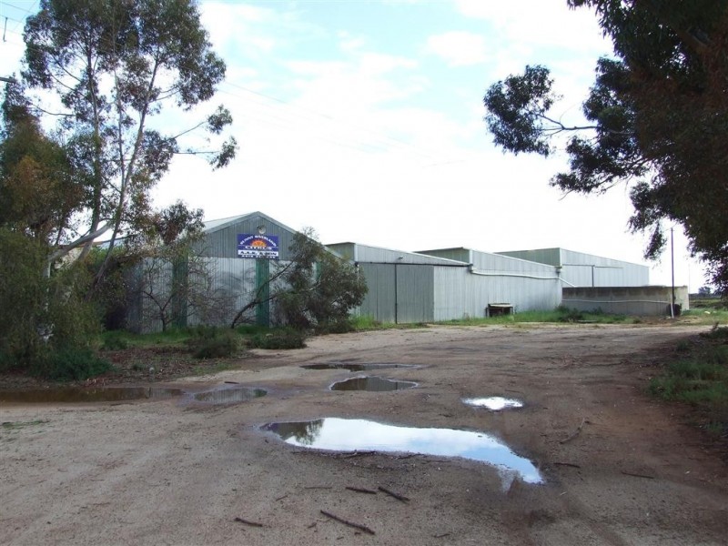 42 Rumball Rd Winkie via, Berri SA 5343