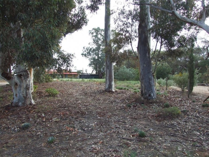 42 Rumball Rd Winkie via, Berri SA 5343