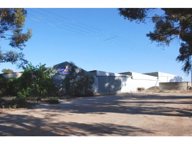 42 Rumball Rd Winkie via, Berri SA 5343