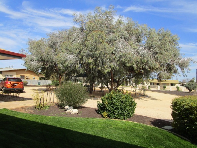 51 Colin, Loxton SA 5333