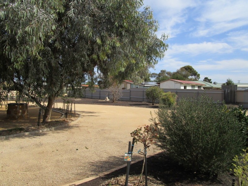 51 Colin, Loxton SA 5333