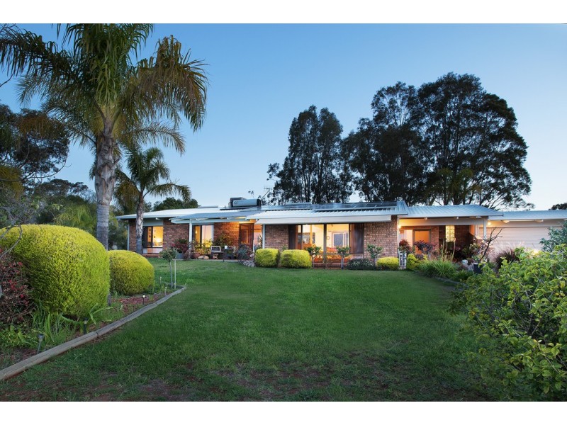 59 Cant Rd, Barmera SA 5345