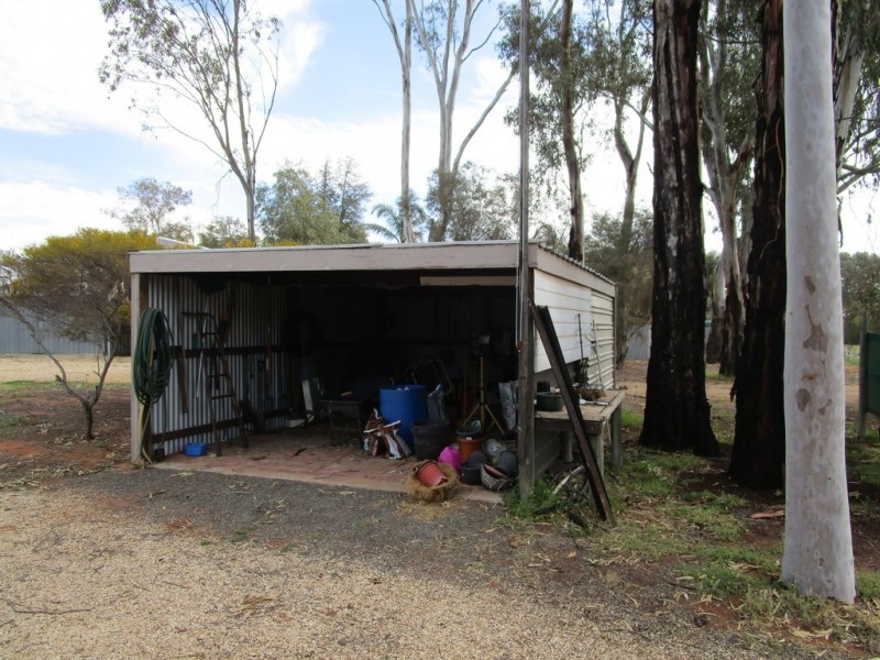 59 Cant Rd, Barmera SA 5345