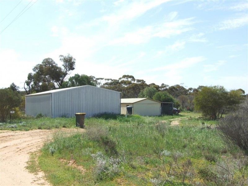 52 Bray Rd Glossop via, Berri SA 5343