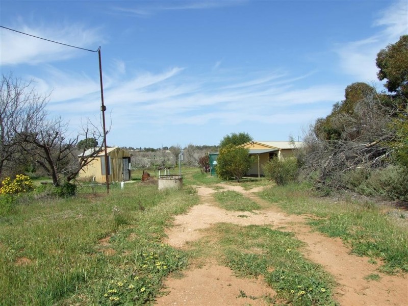 52 Bray Rd Glossop via, Berri SA 5343