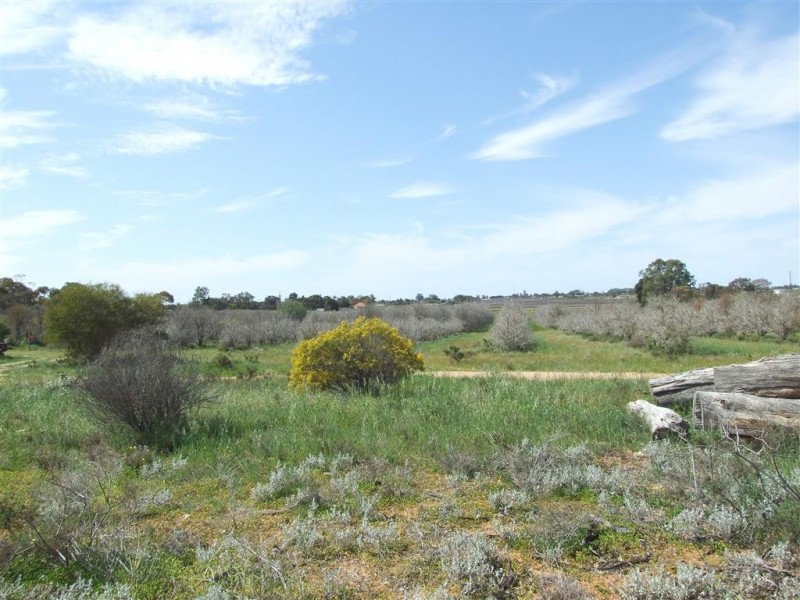 52 Bray Rd Glossop via, Berri SA 5343