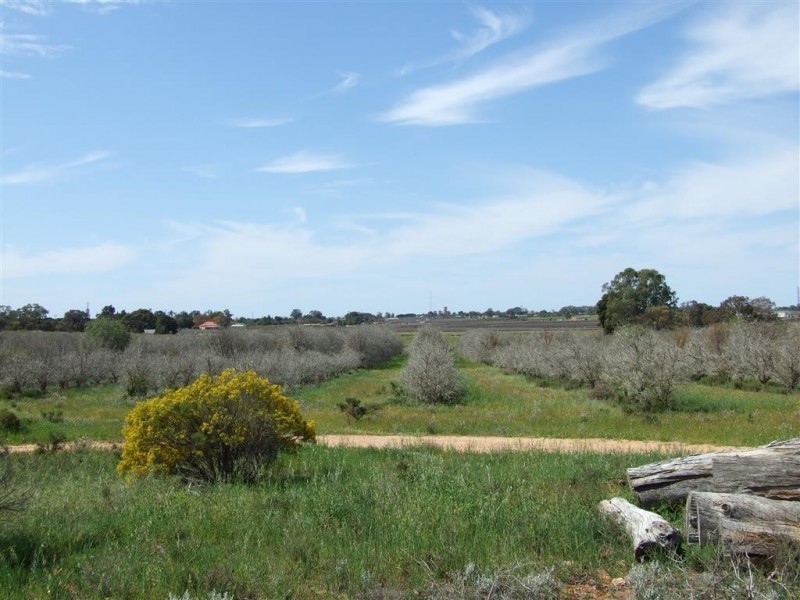 52 Bray Rd Glossop via, Berri SA 5343