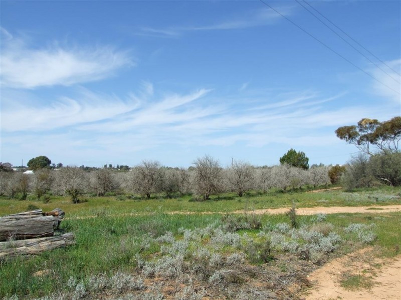 52 Bray Rd Glossop via, Berri SA 5343