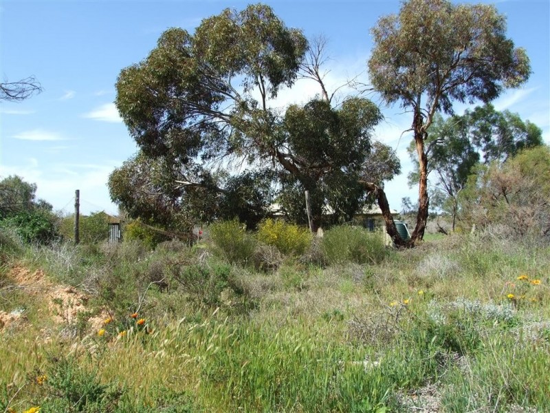 52 Bray Rd Glossop via, Berri SA 5343