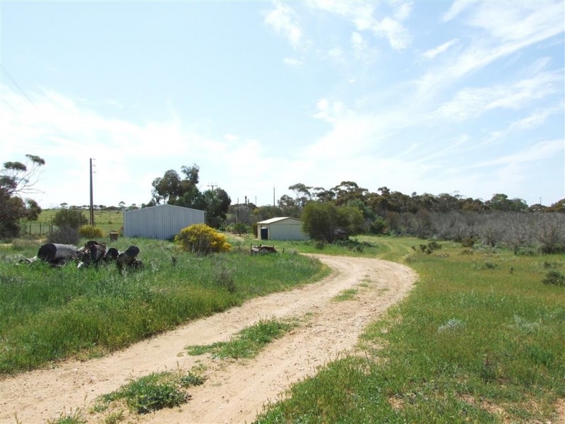 52 Bray Rd Glossop via, Berri SA 5343